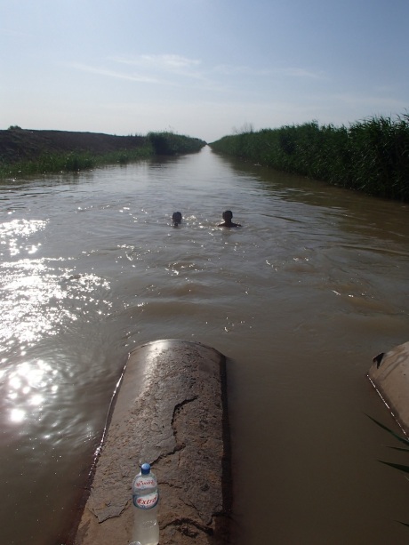 Swimming in the irrigation channel.
